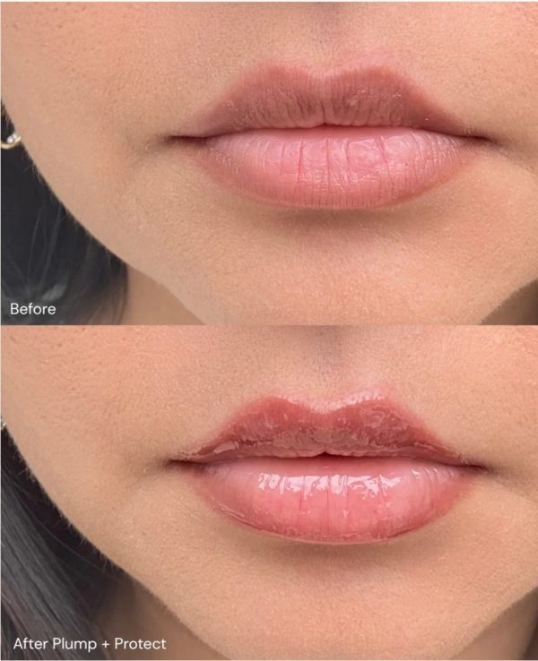 Sérum pour les Lèvres - Plump & Protect – Image 2
